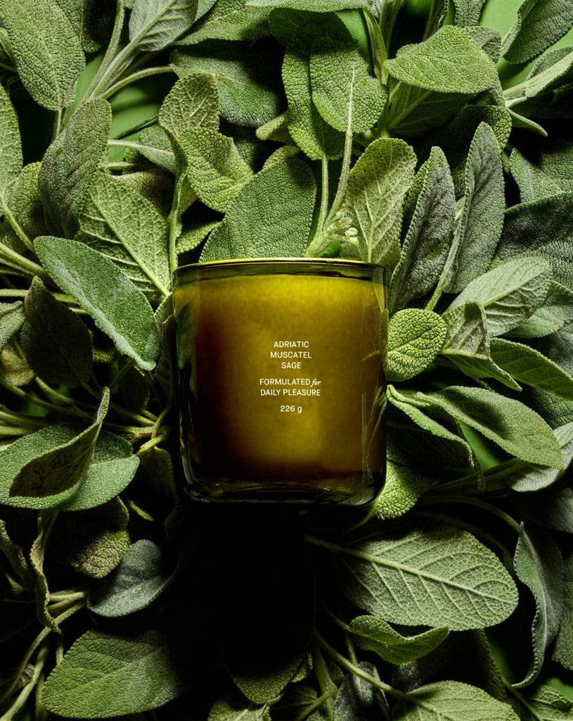 Adriatic Muscatel Sage Candle - Banshee - Flamingo Estate